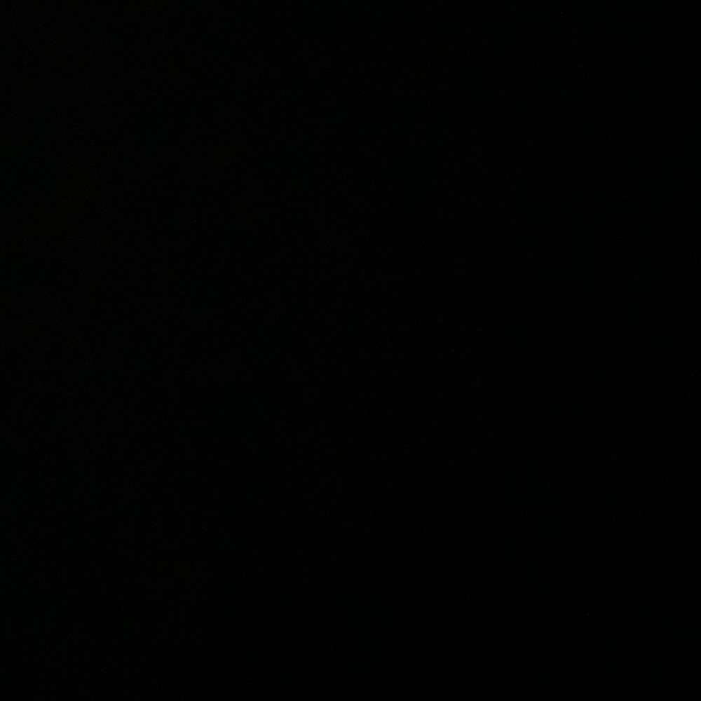 Meet your Posher, Evelyn